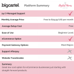 Platform Summary - Big Cartel